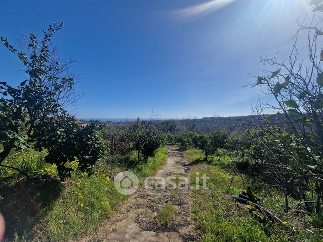 Terreno agricolo in commerciale in Via Damasco