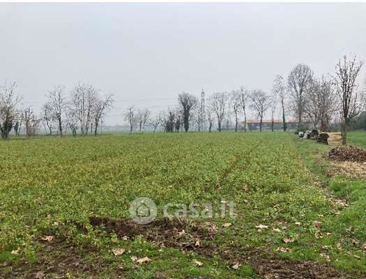 Terreno agricolo in commerciale in Via Pilastrello
