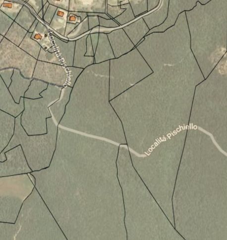 Terreno agricolo in commerciale in Località Pischiello