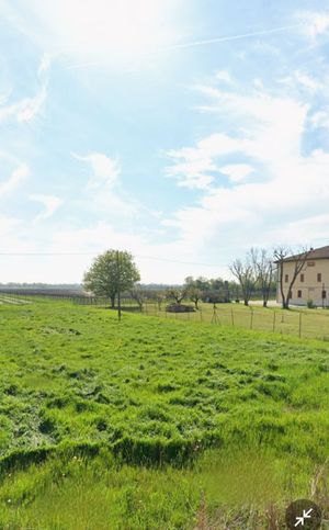 Terreno agricolo in commerciale in Via Ferdinando Miselli 91