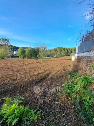Terreno agricolo in commerciale in 