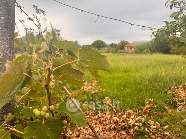 Terreno agricolo in commerciale in Via Bolignolo 38
