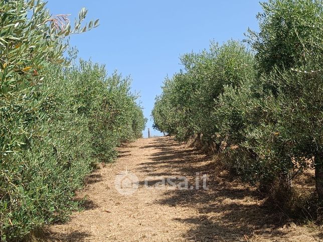 Terreno agricolo in commerciale in LocalitÃ  TUORI