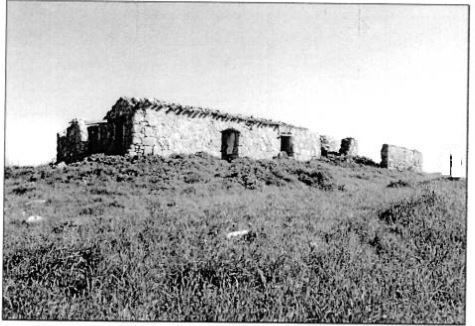 Terreno agricolo in commerciale in Cortile Aiozzo