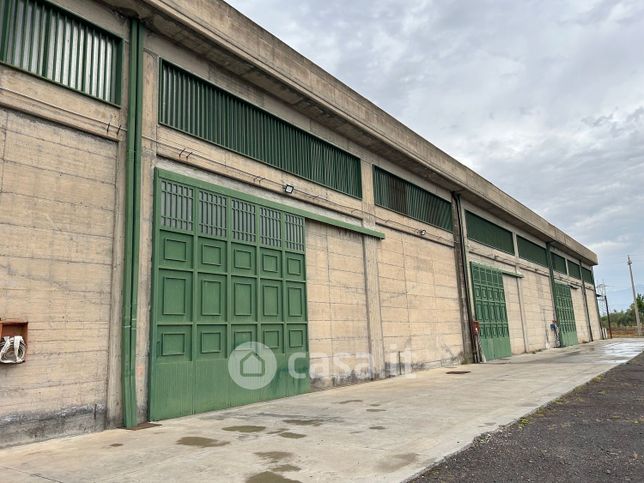 Capannone in commerciale in Trefontane