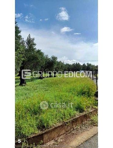 Terreno agricolo in commerciale in Via Dario Leone