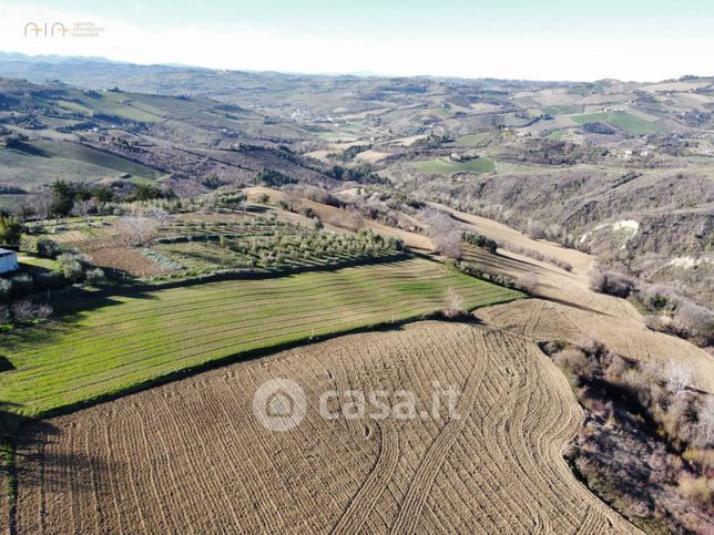 Terreno agricolo in commerciale in Contrada San Savino