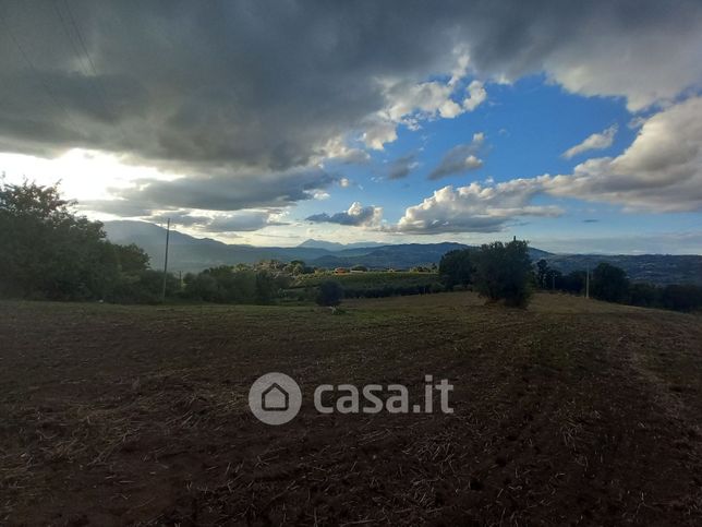 Terreno agricolo in commerciale in Contrada Castelrotto