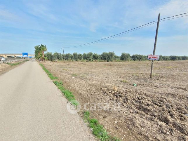 Terreno agricolo in commerciale in Strada Statale 16