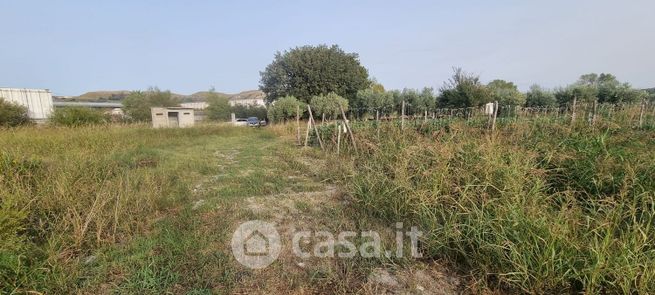 Terreno agricolo in commerciale in Via Campo dei Fiori