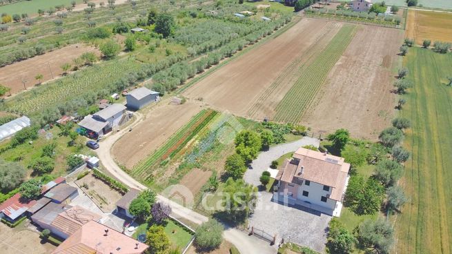 Terreno agricolo in commerciale in Via Campocelletti 9