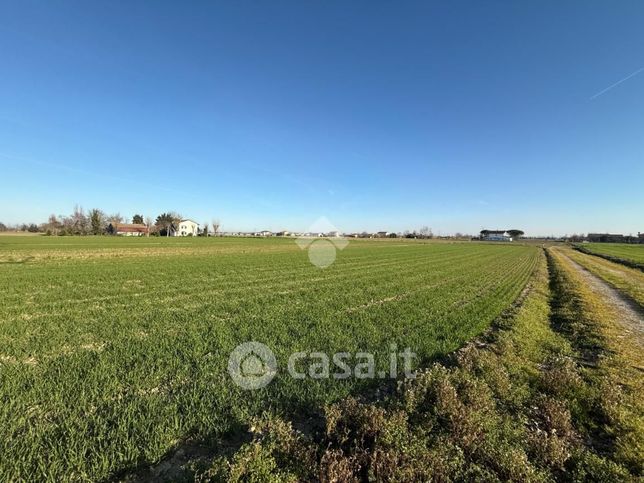 Terreno agricolo in commerciale in Via Campone Sala