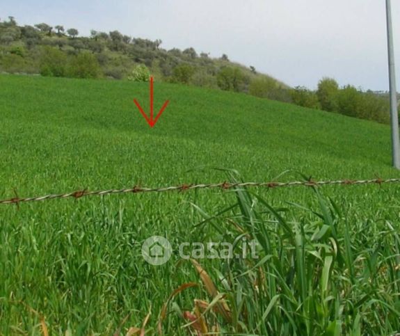 Terreno edificabile in residenziale in Strada Senza Nome