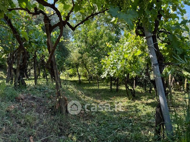 Terreno agricolo in commerciale in Via San Maria delle Grazie 300