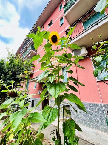 Appartamento in residenziale in