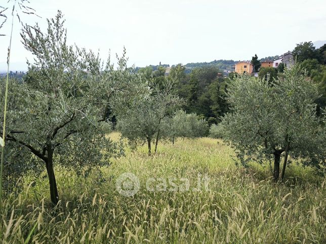 Terreno agricolo in commerciale in Via Roma