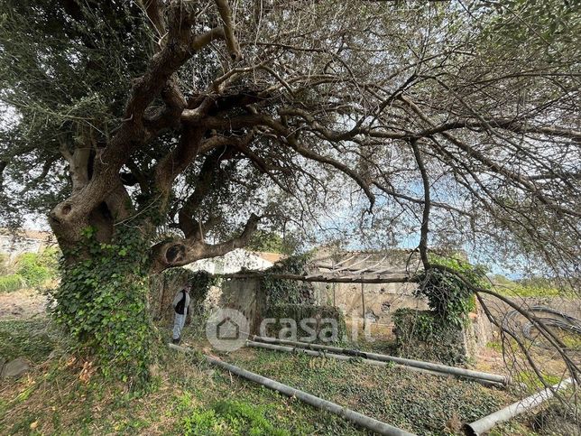 Terreno agricolo in commerciale in Via Decime