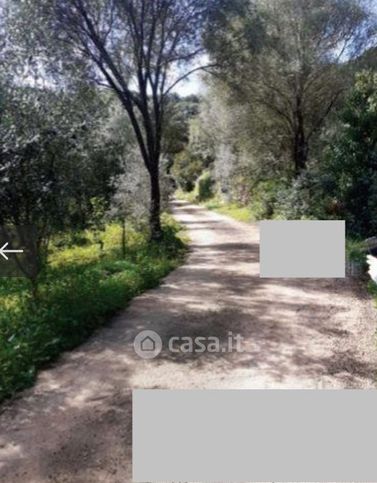 Terreno agricolo in commerciale in Località Litarru Ruiu