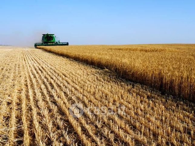 Terreno agricolo in commerciale in Via Ravegnana