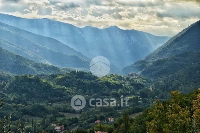 Terreno agricolo in commerciale in Strada di Poggio Lavarino 22