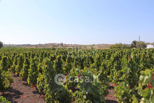 Terreno agricolo in commerciale in Bommiscuro