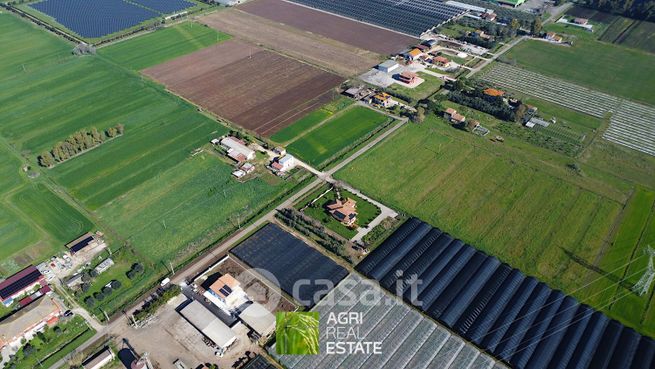 Terreno agricolo in commerciale in Strada 44 Migliara 23 -b