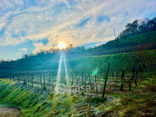 Terreno agricolo in commerciale in 