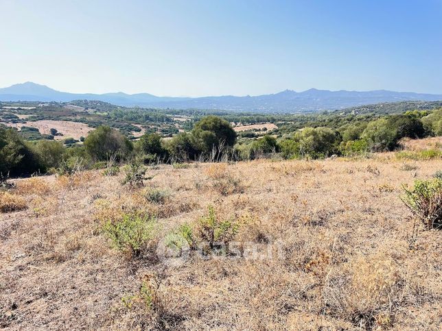 Terreno agricolo in commerciale in Località Bilianusaldu