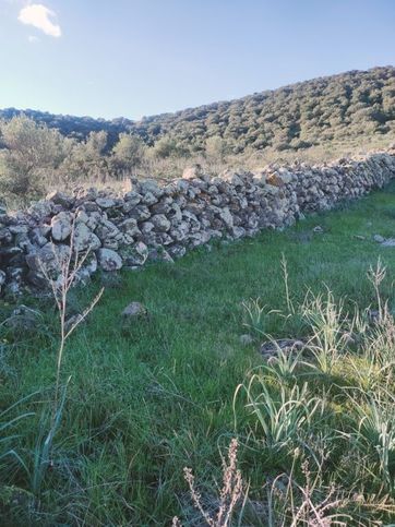 Terreno agricolo in commerciale in is grazias