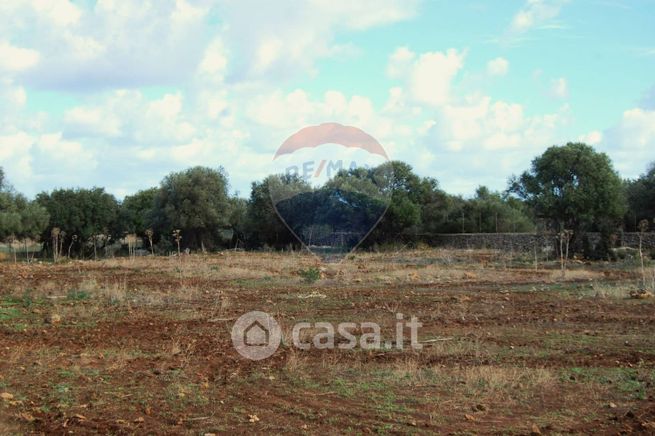 Terreno agricolo in commerciale in Fondo Orsa