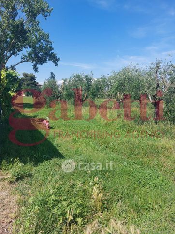 Terreno agricolo in commerciale in Via Aiaccia