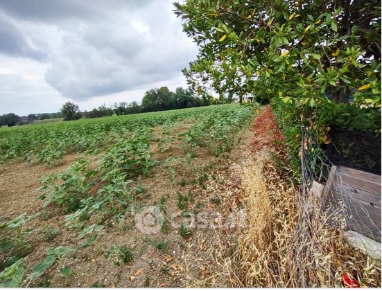 Terreno agricolo in commerciale in Via dell'Artigianato