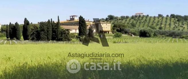 Terreno agricolo in commerciale in LocalitÃ  Vignale