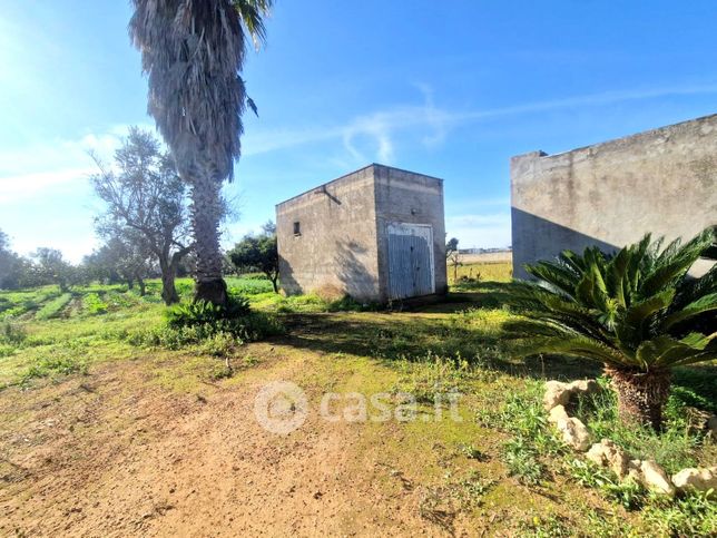 Terreno agricolo in commerciale in Via per Montesano