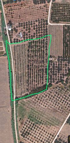 Terreno agricolo in commerciale in contrada
