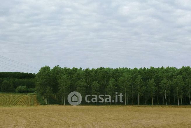 Terreno agricolo in commerciale in SP56