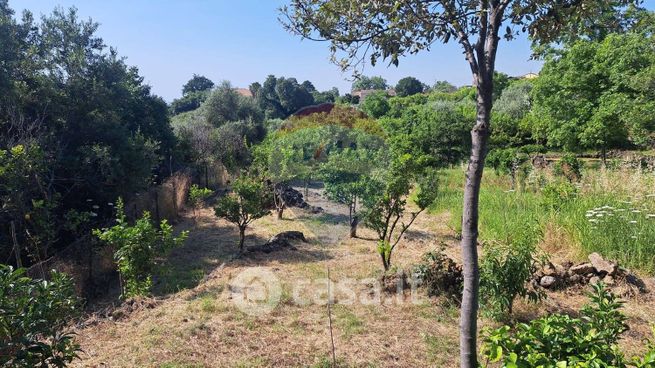 Terreno agricolo in commerciale in Via Domenico Nicolosi