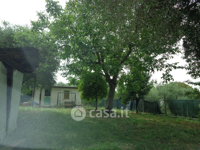 Terreno agricolo in commerciale in Vicolo Delle Vignole