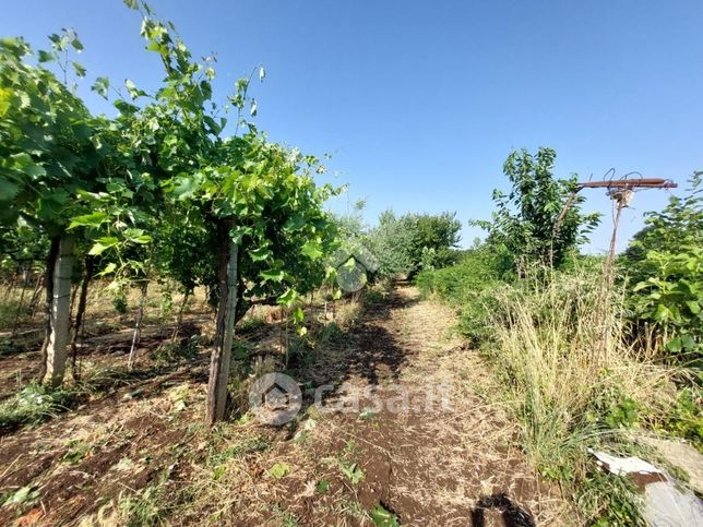 Terreno agricolo in commerciale in Via Colle della Cisterna