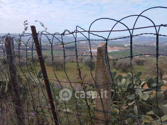 Terreno agricolo in commerciale in 