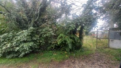 Terreno agricolo in commerciale in Via Antonio Jorini