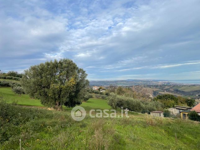 Terreno agricolo in commerciale in Contrada Padune