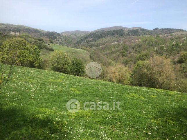 Terreno agricolo in commerciale in Via Capo le Ripe