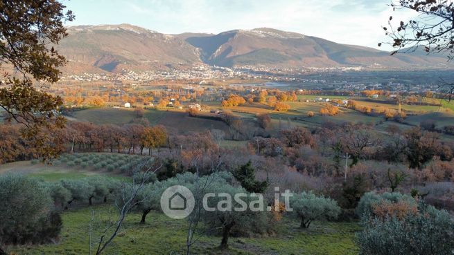 Terreno agricolo in commerciale in Località Piagge