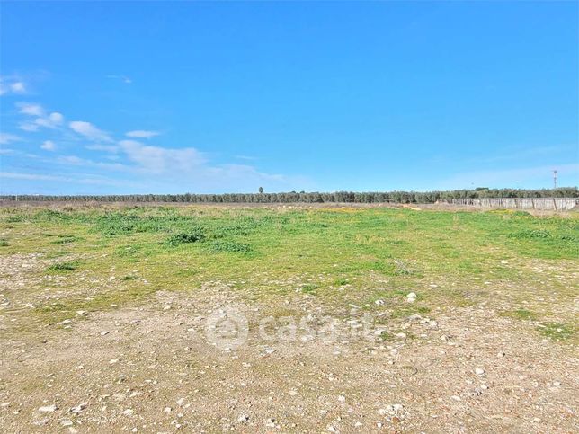 Terreno agricolo in commerciale in Strada Statale 16 Adriatica