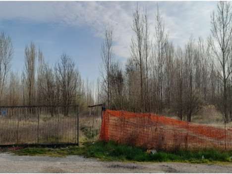 Terreno agricolo in commerciale in Via Alta 167