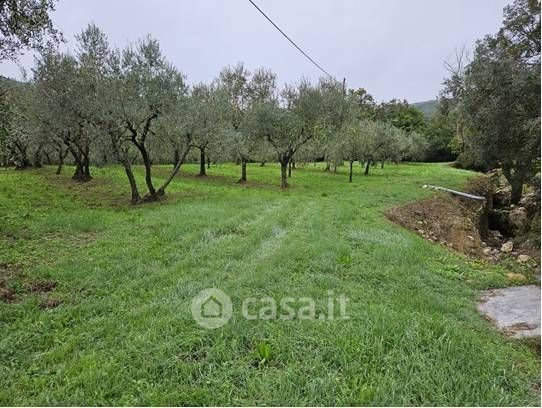 Terreno agricolo in commerciale in Località Secciano