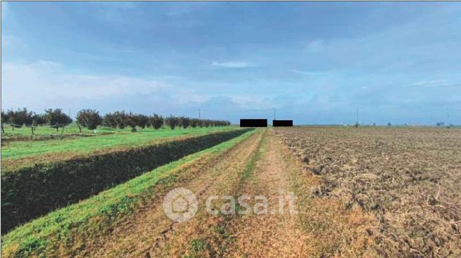 Terreno agricolo in commerciale in Via Pio Marola