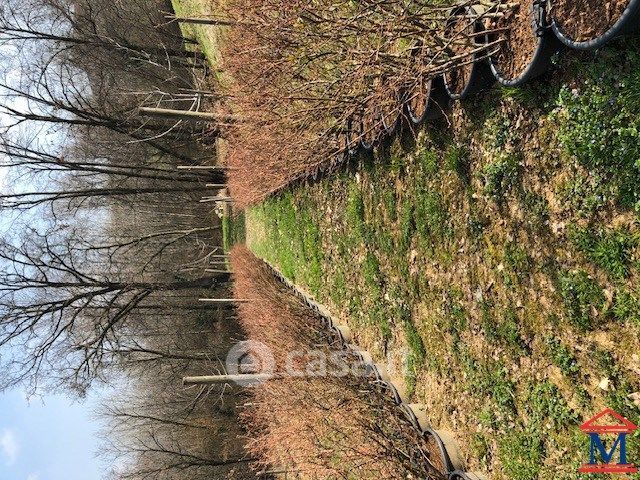 Terreno agricolo in commerciale in Via Maresana