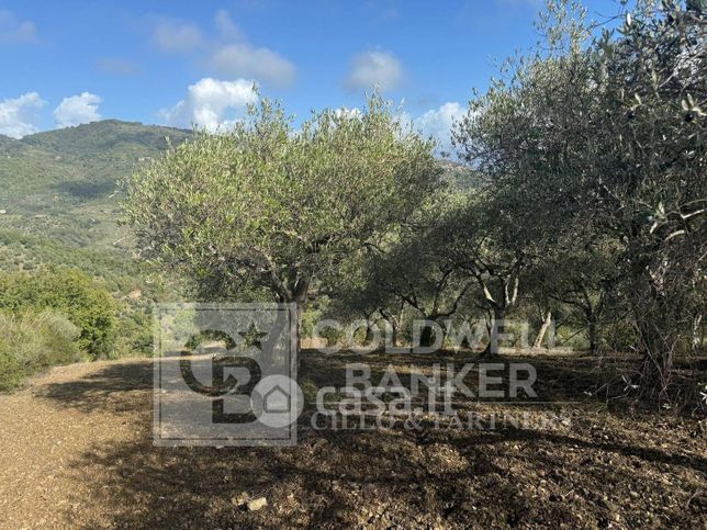 Terreno agricolo in commerciale in Via Fornaci